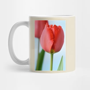 Tulipa  &#39;Crystal Beauty&#39;   Fringed Tulip Mug